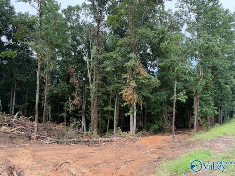 Vacant Land For Sale - 2756 Wilhite Road<br/> Falkville, AL 35622