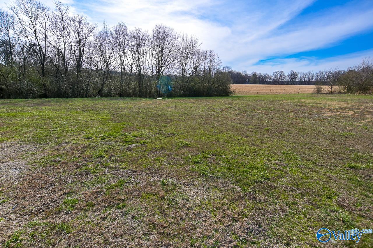 497 Densmore Road, Joppa, Alabama image 3