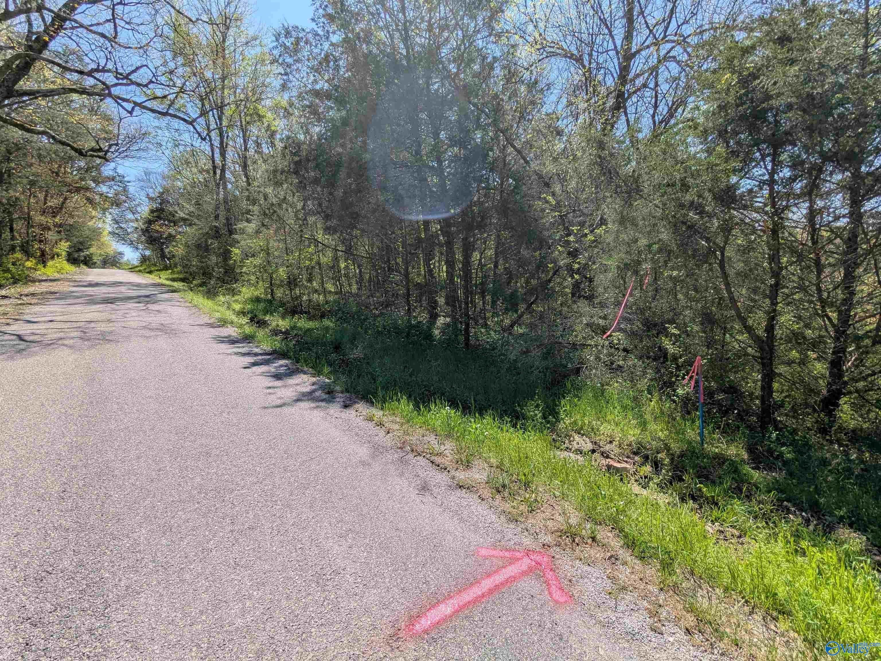 05 Old Stage Road, Ardmore, Tennessee image 20