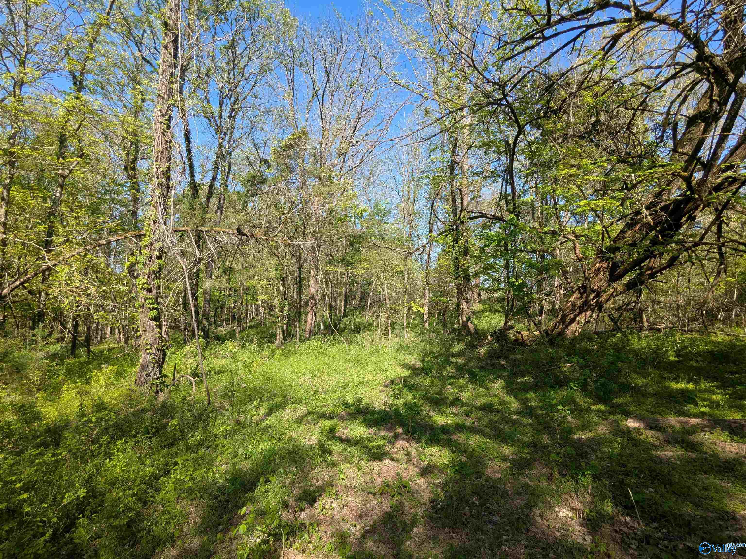 05 Old Stage Road, Ardmore, Tennessee image 9