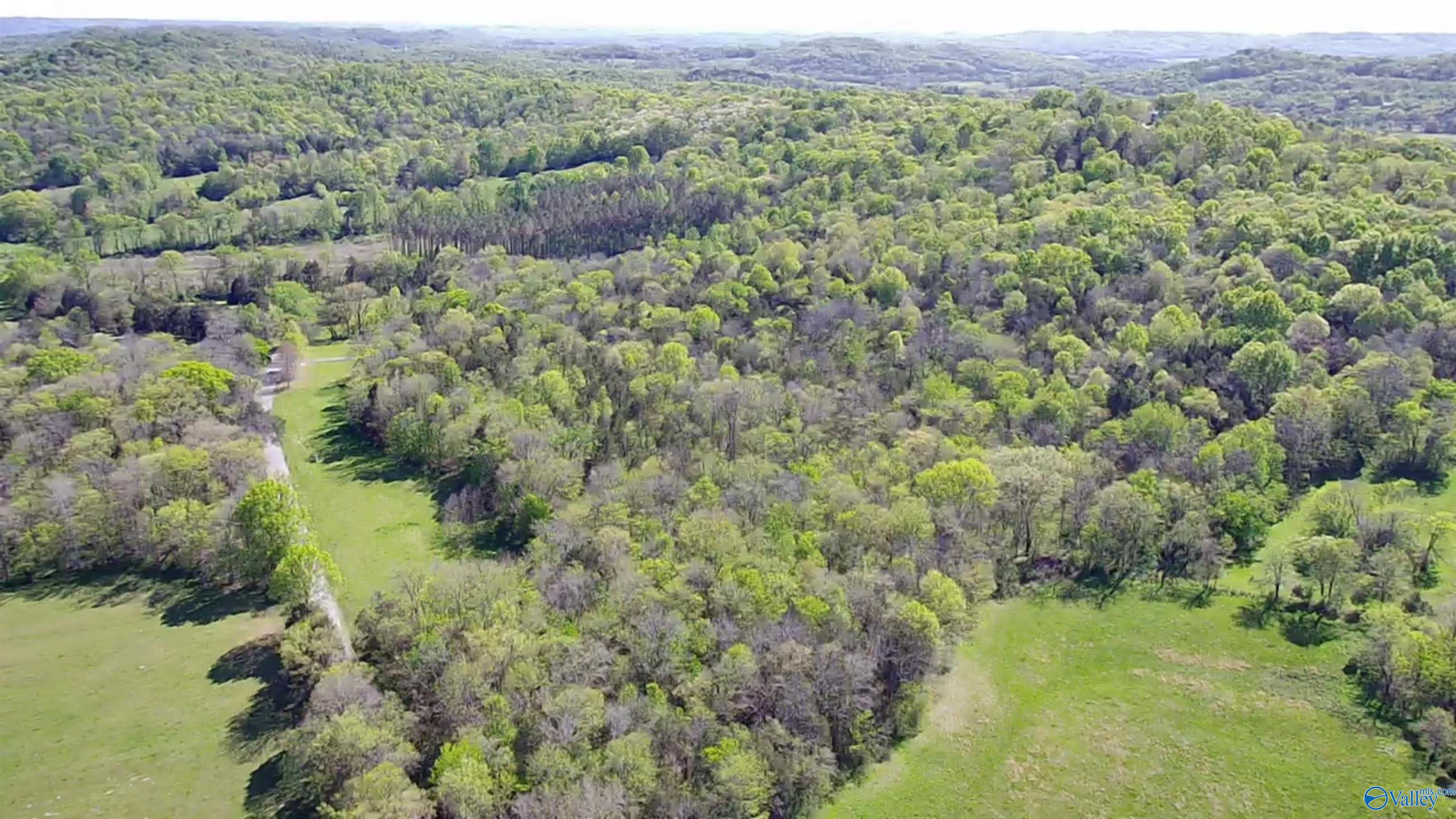 05 Old Stage Road, Ardmore, Tennessee image 1