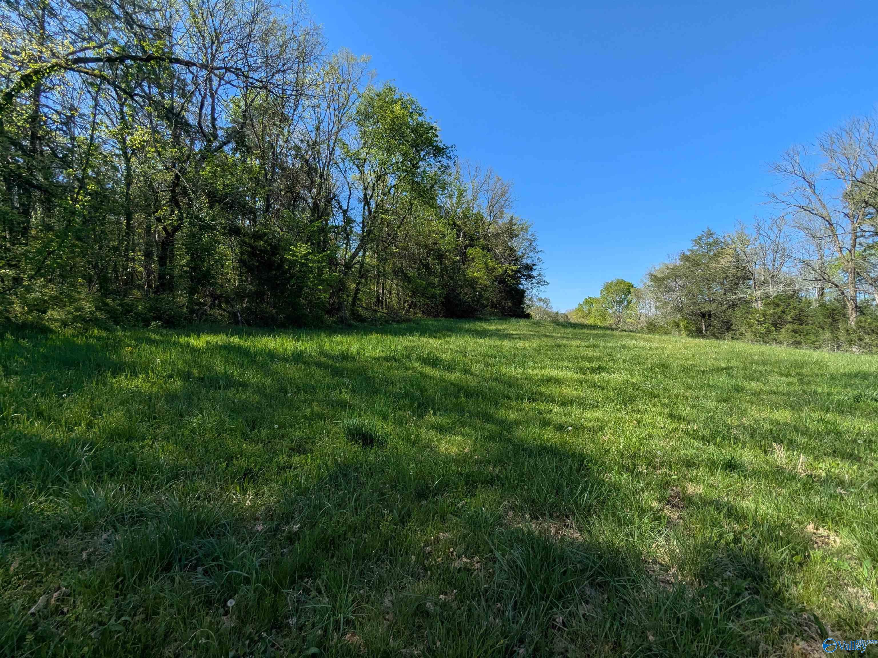 05 Old Stage Road, Ardmore, Tennessee image 11