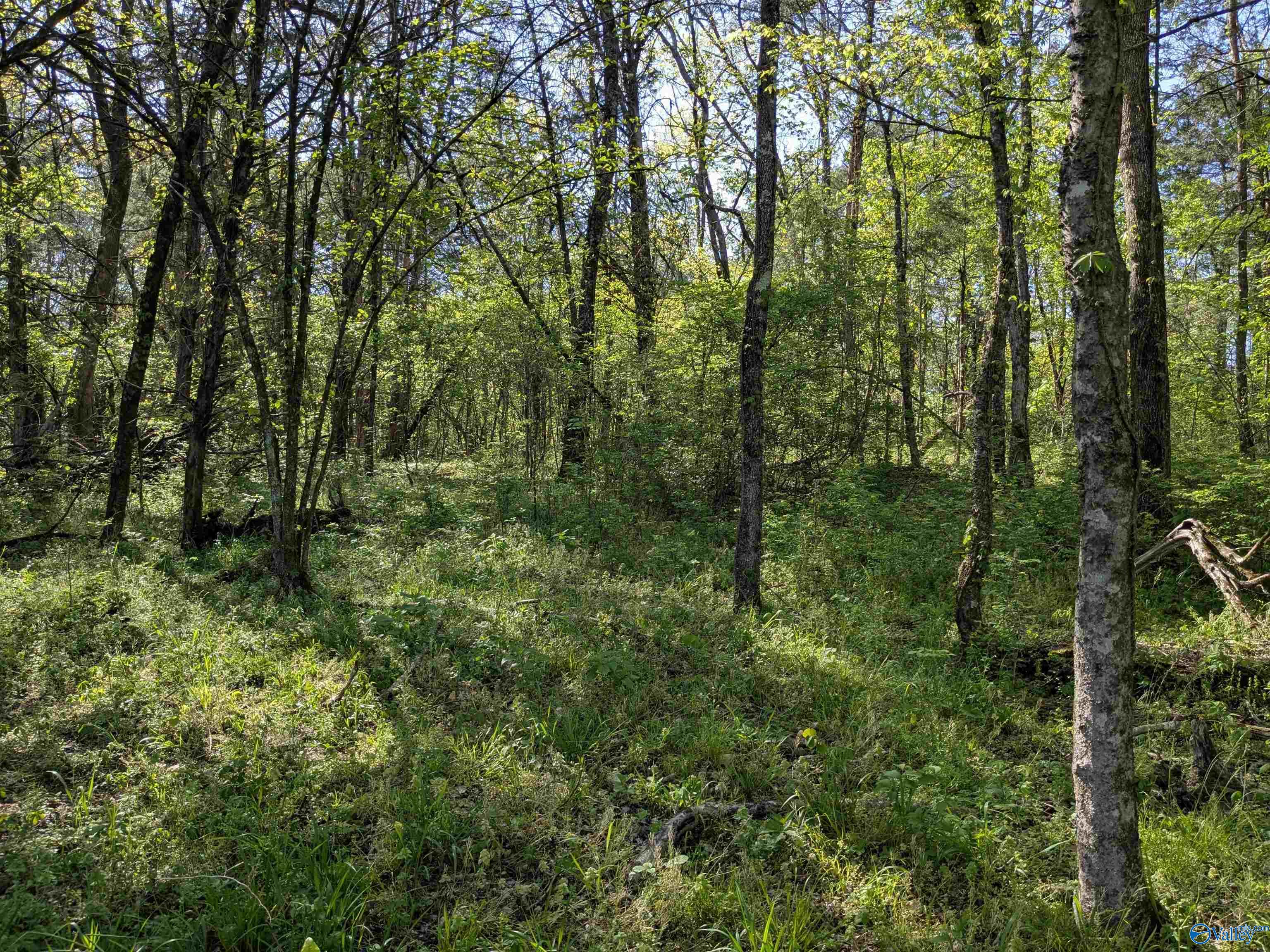 05 Old Stage Road, Ardmore, Tennessee image 10