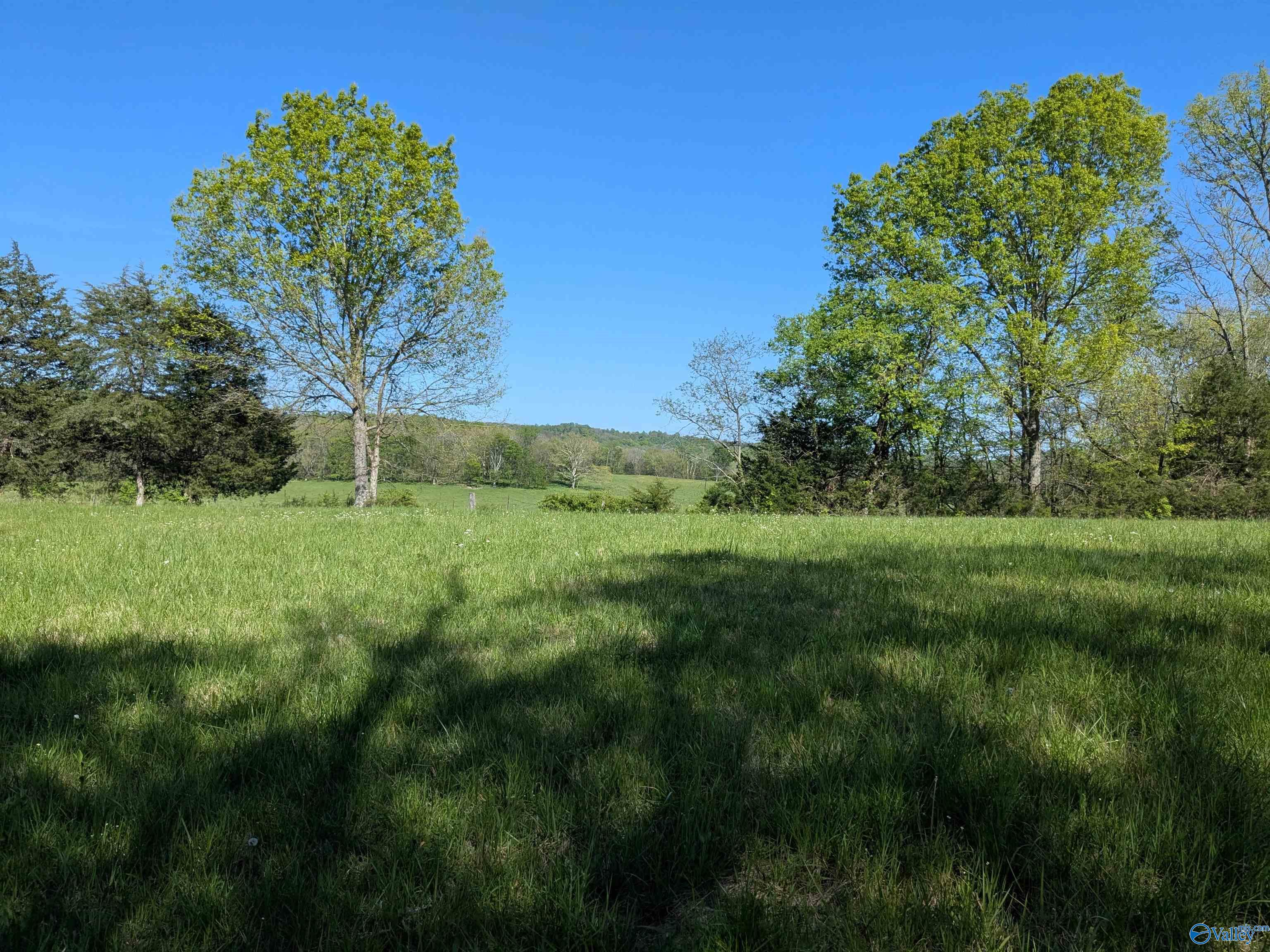 05 Old Stage Road, Ardmore, Tennessee image 6