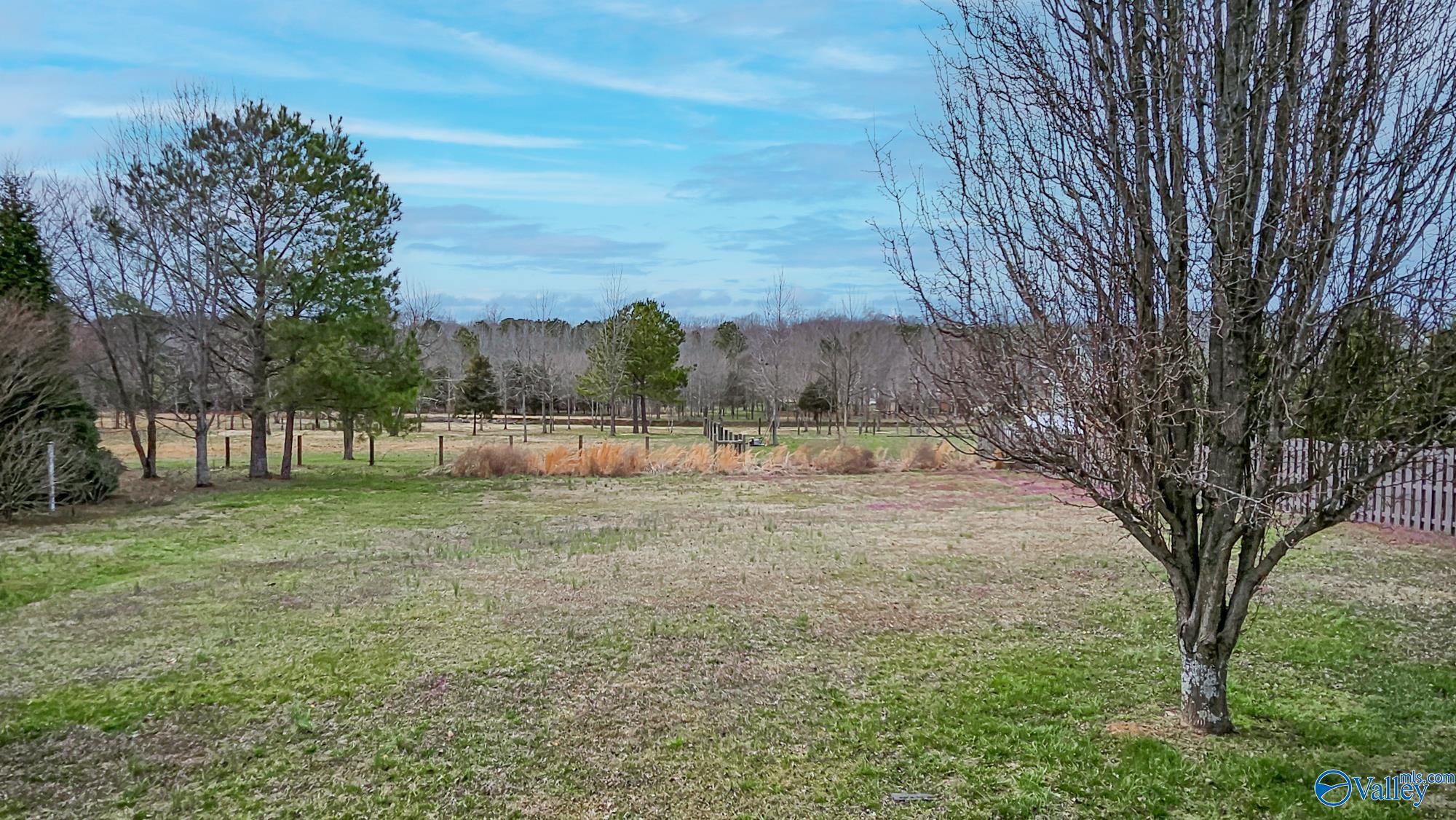 102 Compass Hill Circle, Toney, Alabama image 2