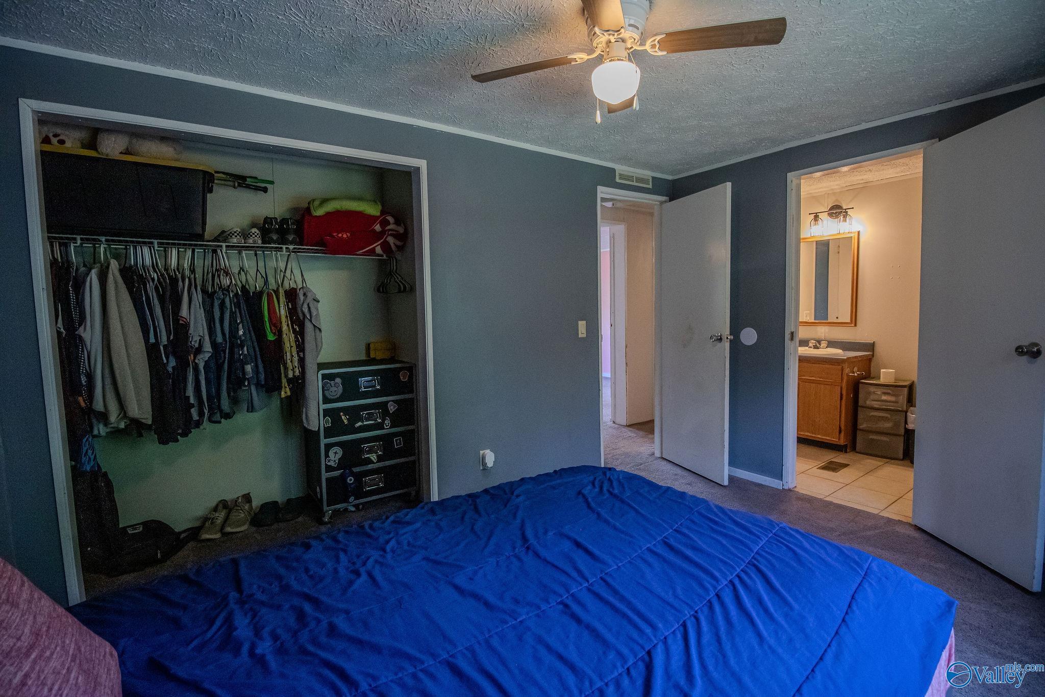 3092 County Road 37, Muscadine, Alabama image 16