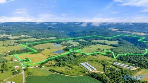 Vacant Land For Sale - 191 County Road 368<br/> Albertville, AL 35951