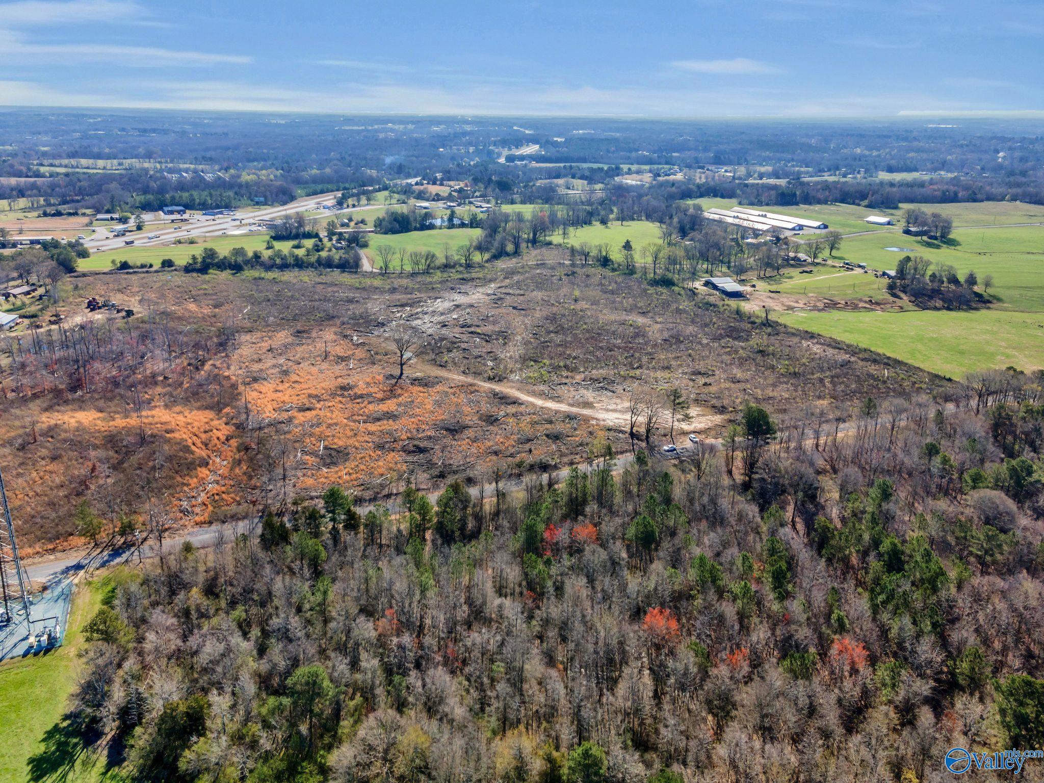27 Acres County Road 137, Town Creek, Alabama image 3