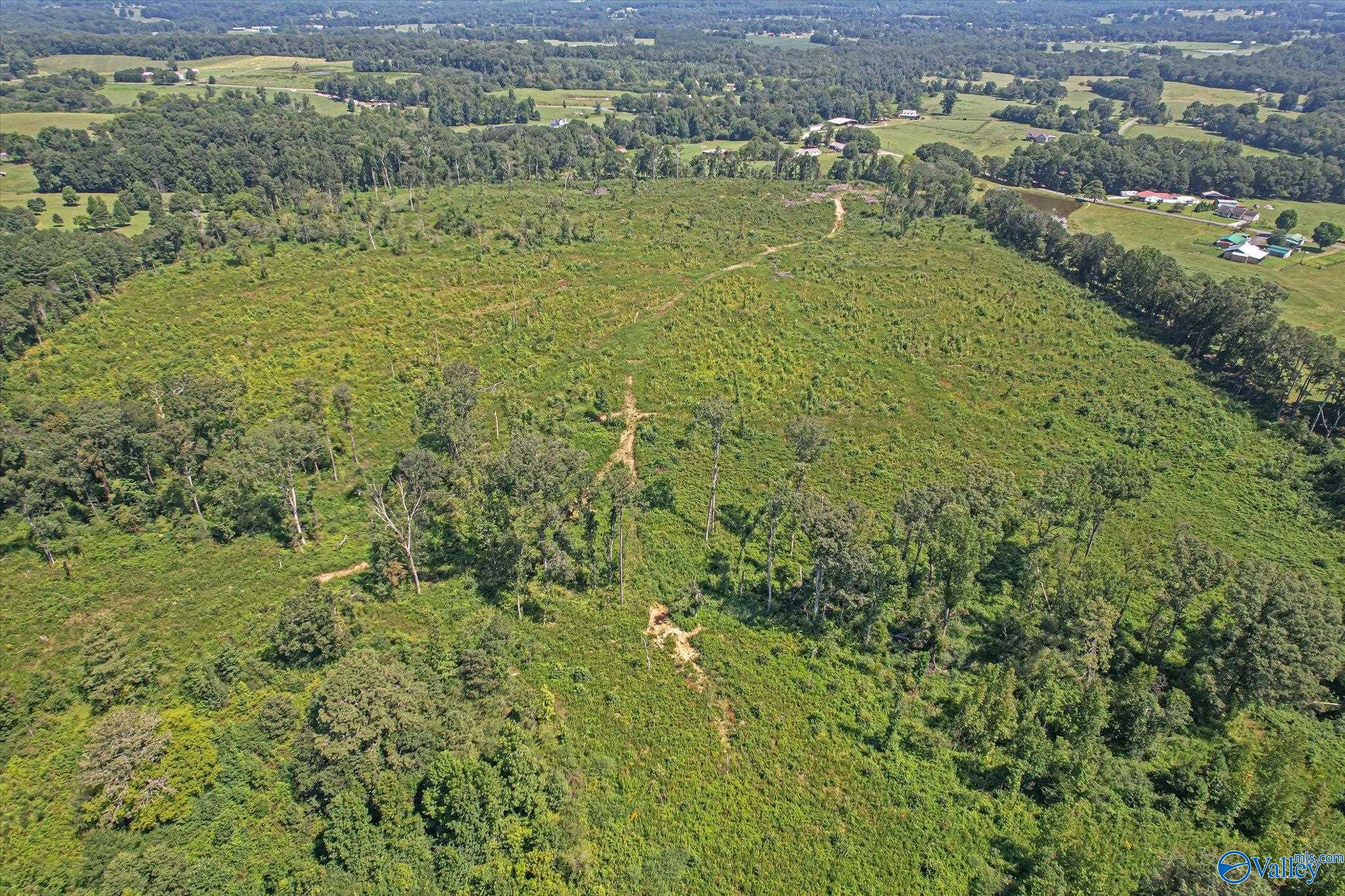 69+/- Acres Beulah Road, Boaz, Alabama image 2