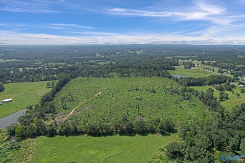 Vacant Land For Sale - 69+/- ACRES Beulah Road<br/> Boaz, AL 35957