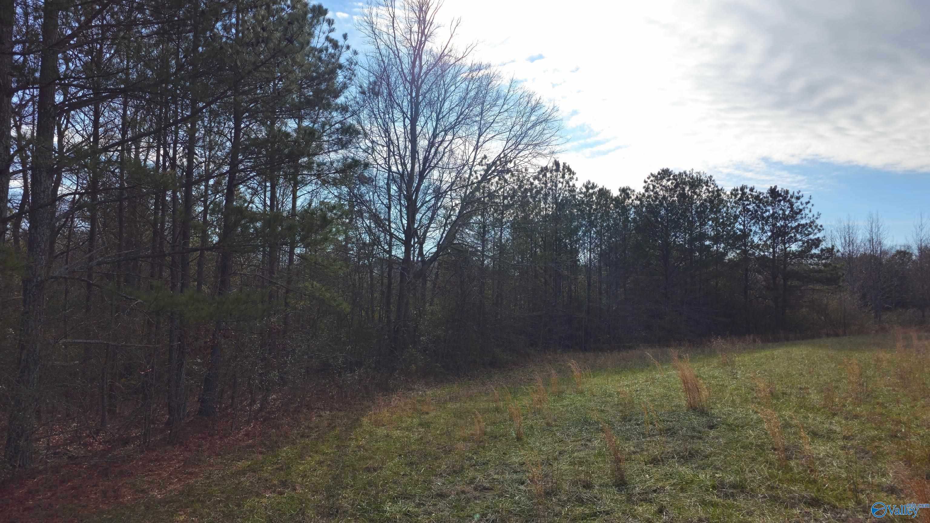 7 Acres Cochran Avenue, Albertville, Alabama image 2