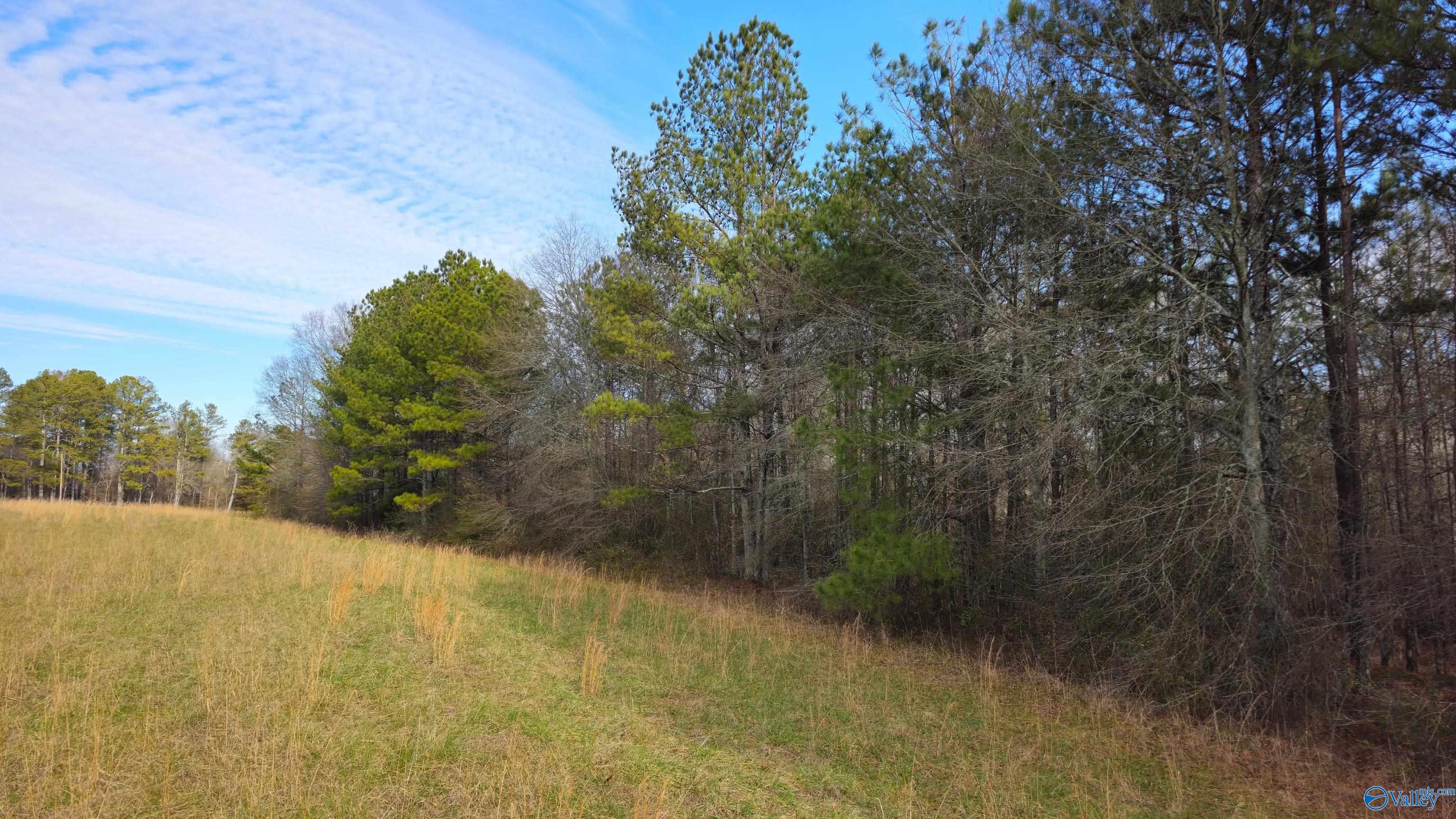 7 Acres Cochran Avenue, Albertville, Alabama image 3