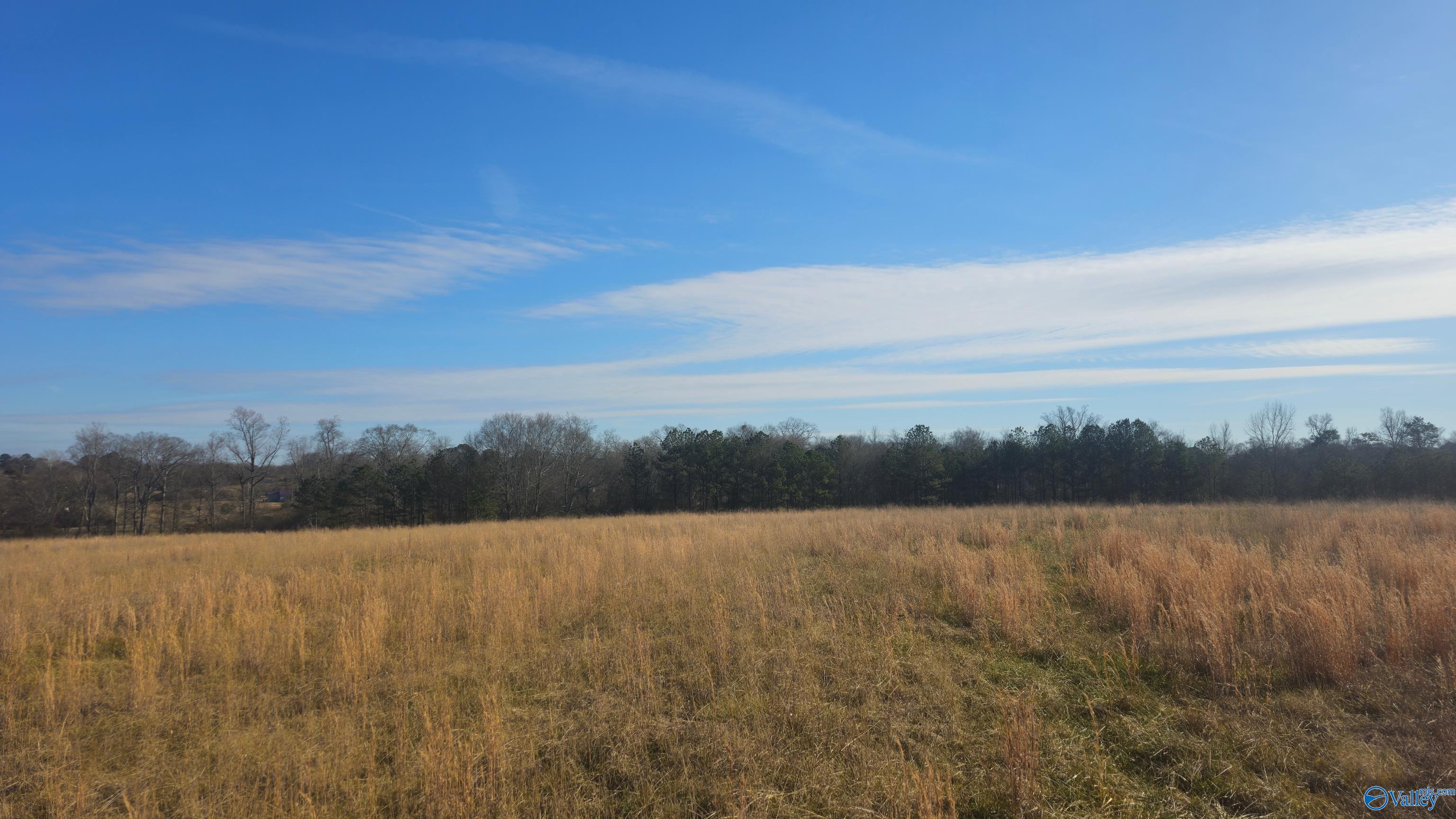 7 Acres Cochran Avenue, Albertville, Alabama image 7