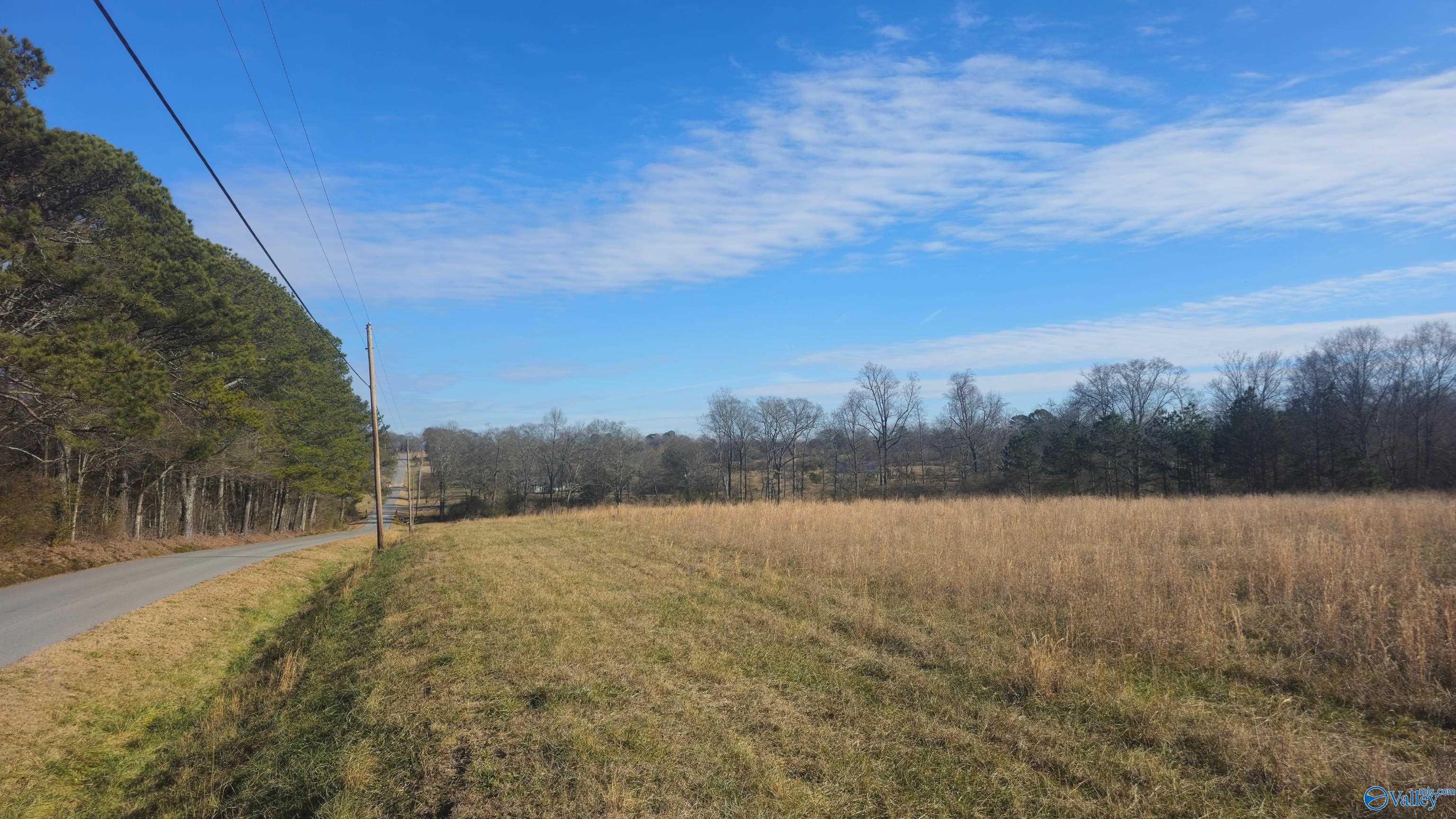 7 Acres Cochran Avenue, Albertville, Alabama image 4