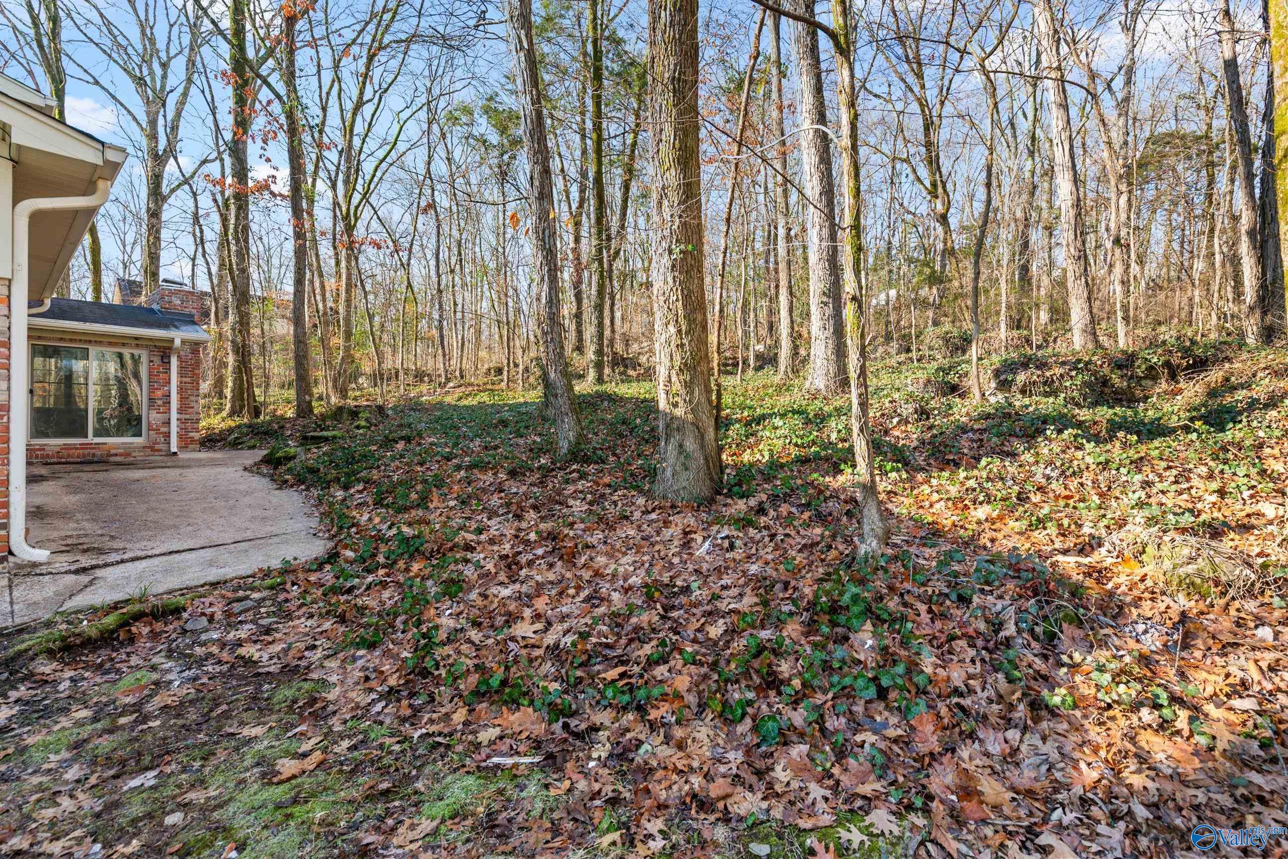 10102 Todd Mill Road, Huntsville, Alabama image 38