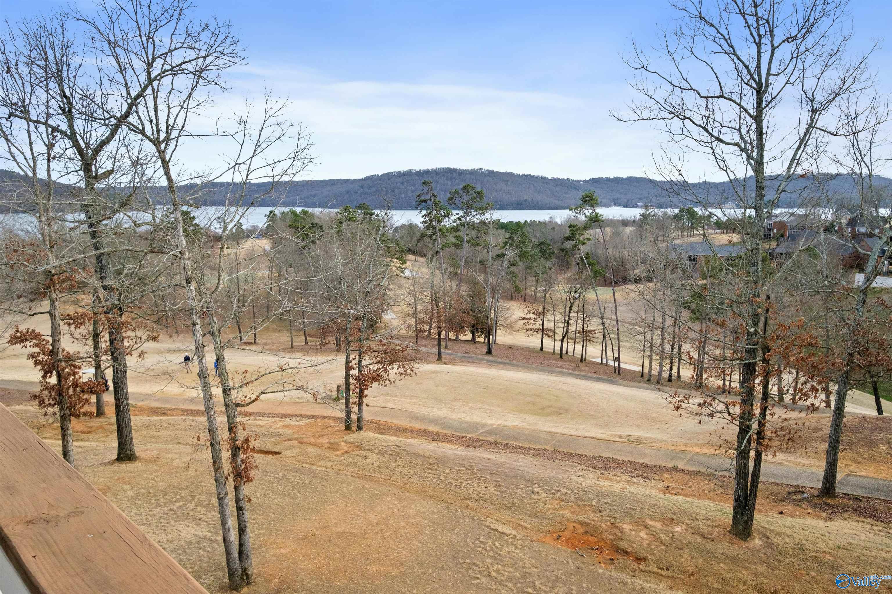 356 Whistling Straits Way, Guntersville, Alabama image 15