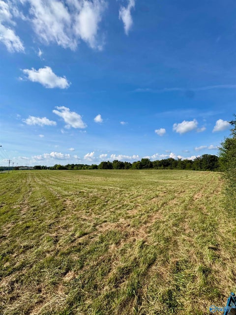 Vacant Land For Sale - 10.77 County Road 48<br/> Jackson County, Section, AL 35771