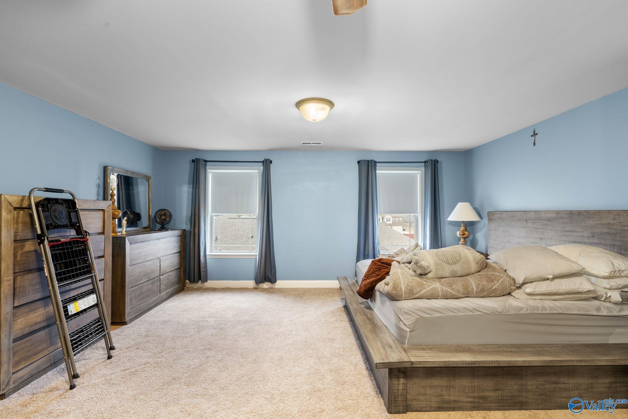 29632 Laura Ridge Drive, Harvest, Alabama image 23
