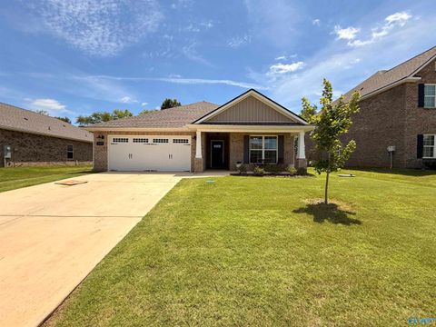 Homes For Sale - 135 Ivy Vine Drive<br/> Toney, AL 35773