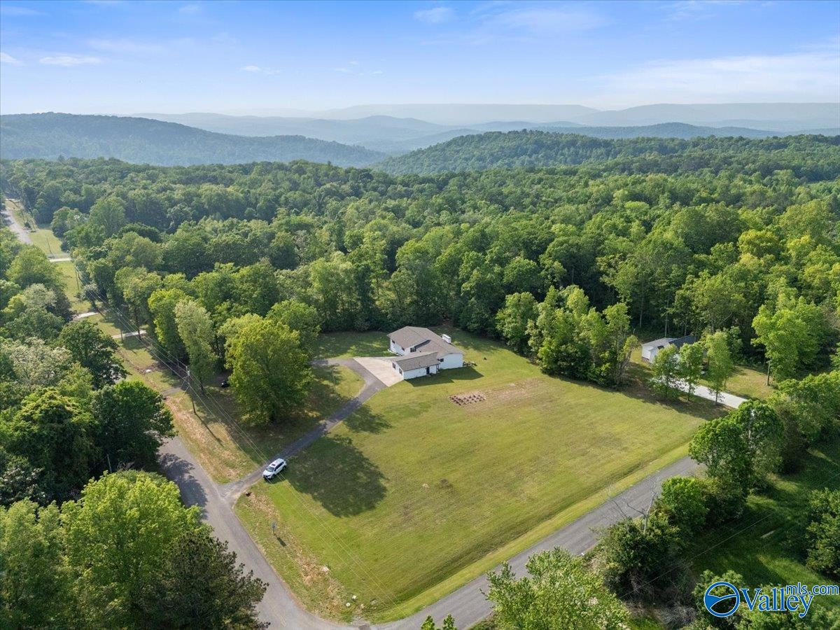 753 Waverly Hills Road, Grant, Alabama image 36