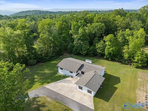 Homes For Sale - 753 Waverly Hills Road<br/> Grant, AL 35747