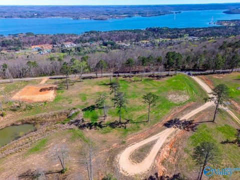 Vacant Land For Sale - LOT 2 Mccorkle Mountain Road<br/> Scottsboro, AL 35679