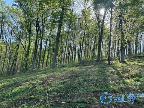 Vacant Land For Sale - LOT 27 Hualapai Lane<br/> Guntersville, AL 35976
