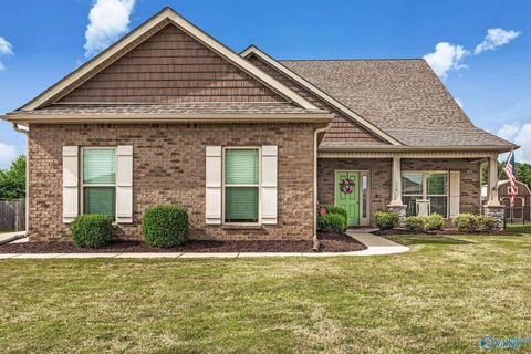 Photo of 159 Lexi Lane, Meridianville, AL 35759 (MLS # 21916966)