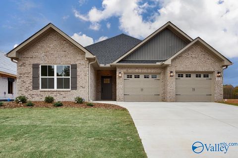 Photo of 104 Alton Dale Drive, Toney, AL 35773 (MLS # 21912915)