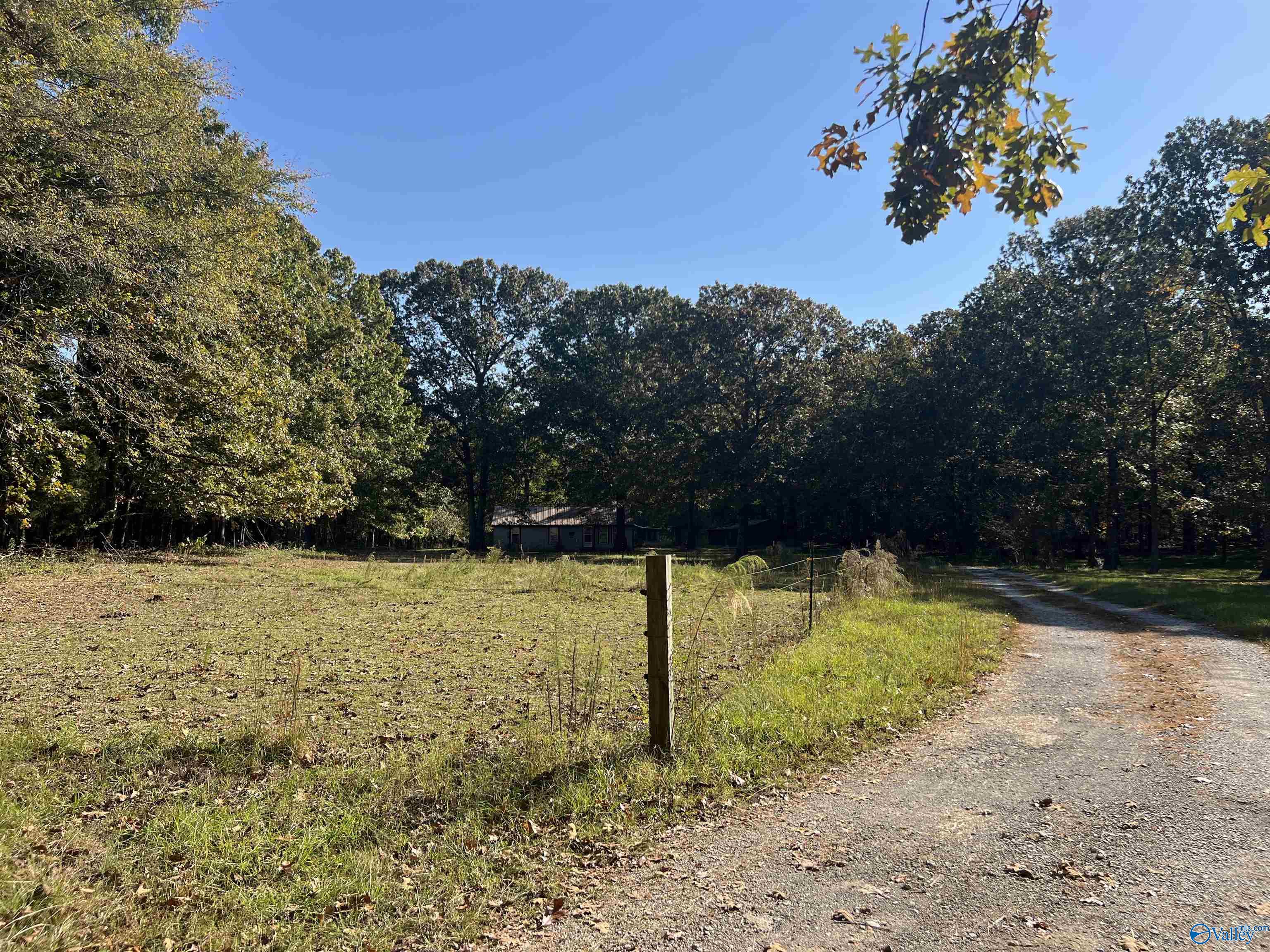 1484 County Road 326, Moulton, Alabama image 7