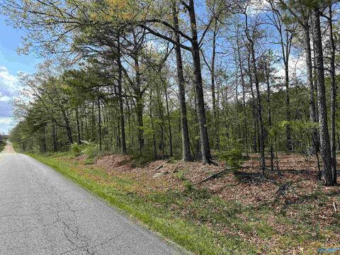 Vacant Land For Sale - 37.5 Northwood Drive<br/> Cherokee County, Centre, AL 35960