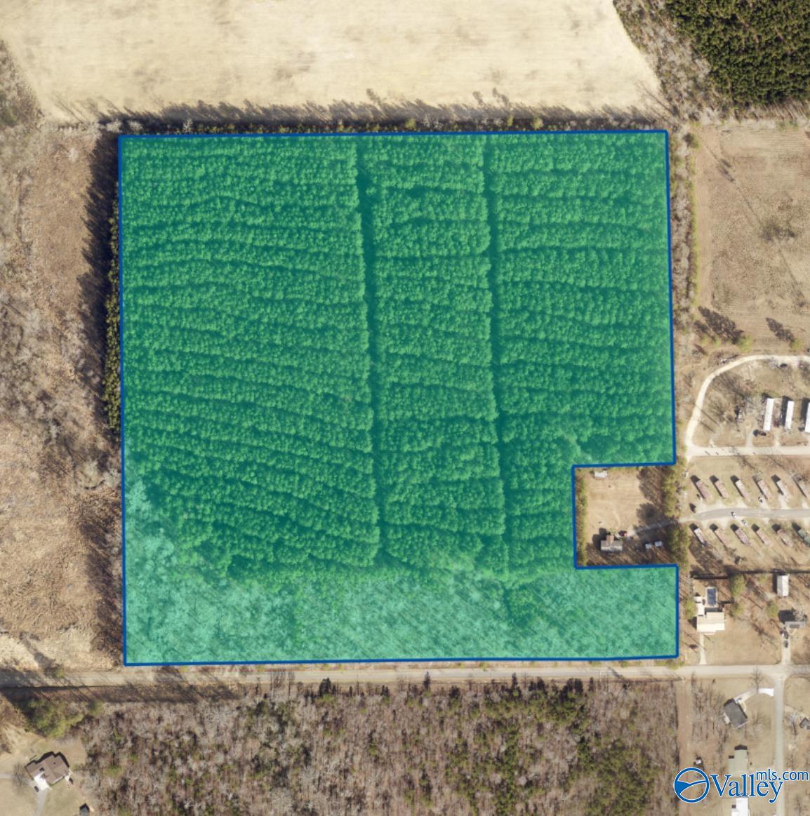 500 Northwood Drive, Centre, Alabama image 3