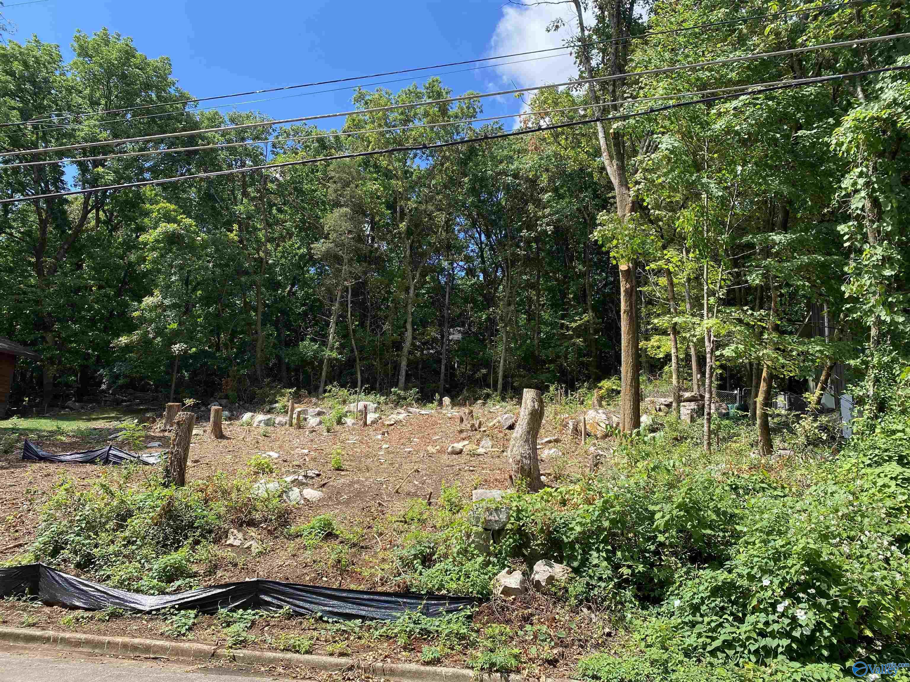 3008 Barcody Road, Huntsville, Alabama image 10