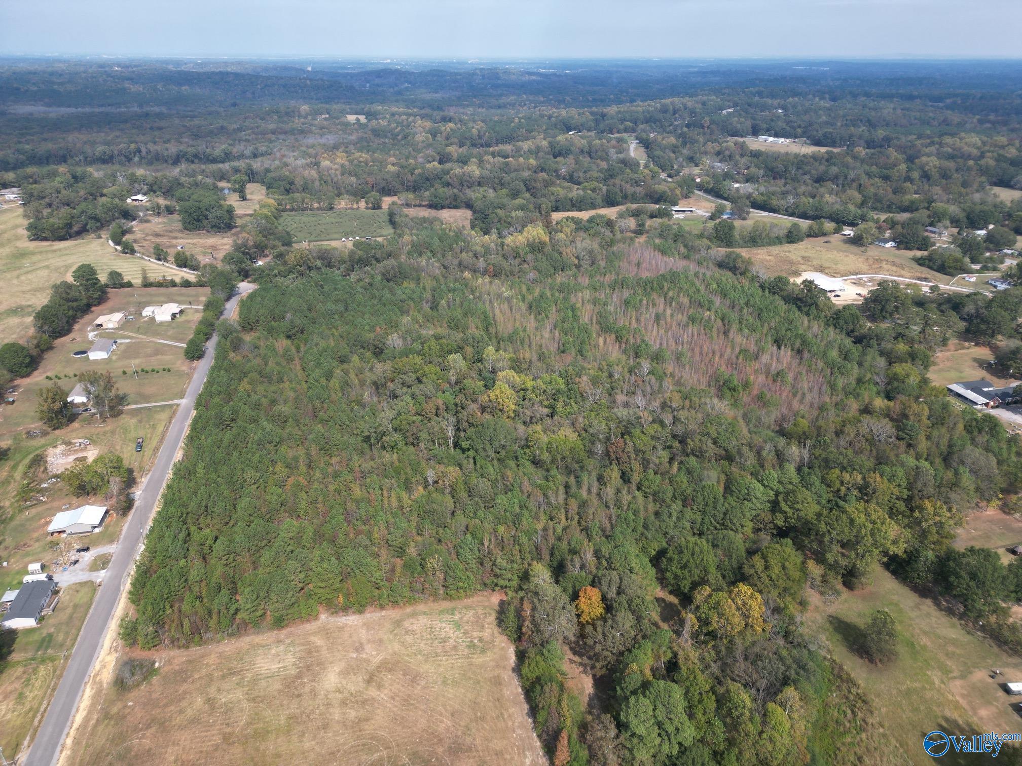 39 Acres Goose Pond Road, Hartselle, Alabama image 4