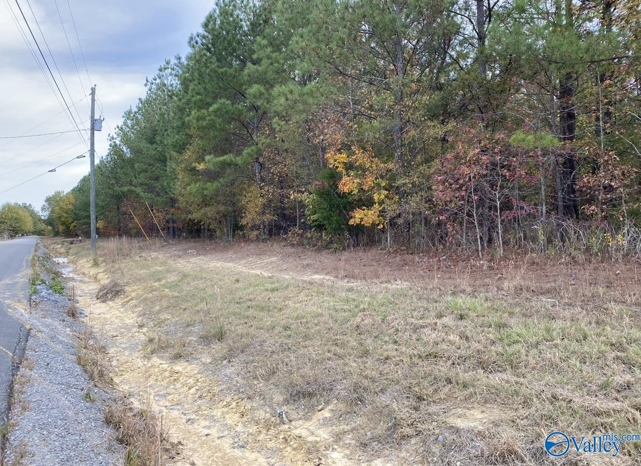 39 Acres Goose Pond Road, Hartselle, Alabama image 6