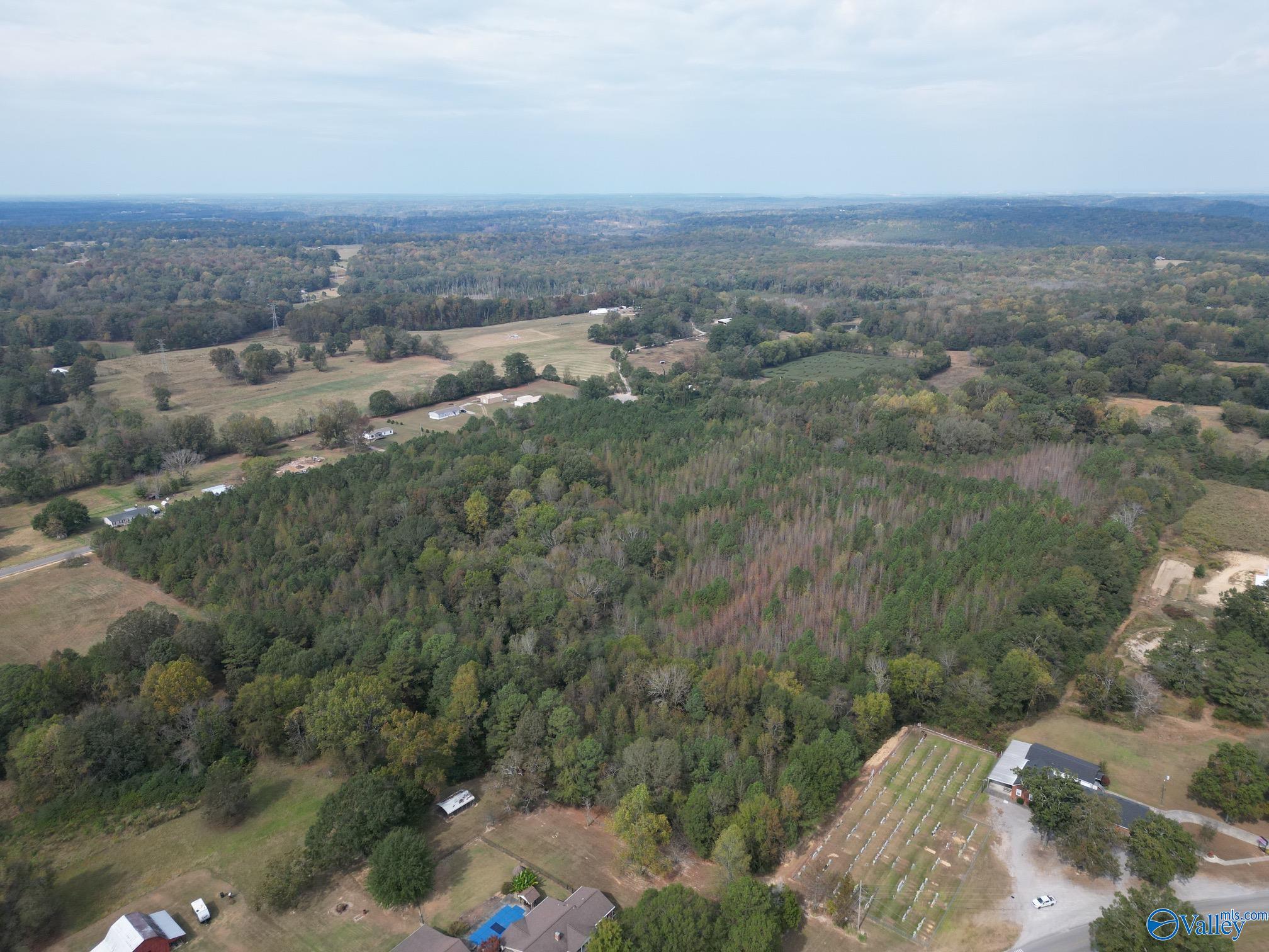 39 Acres Goose Pond Road, Hartselle, Alabama image 2