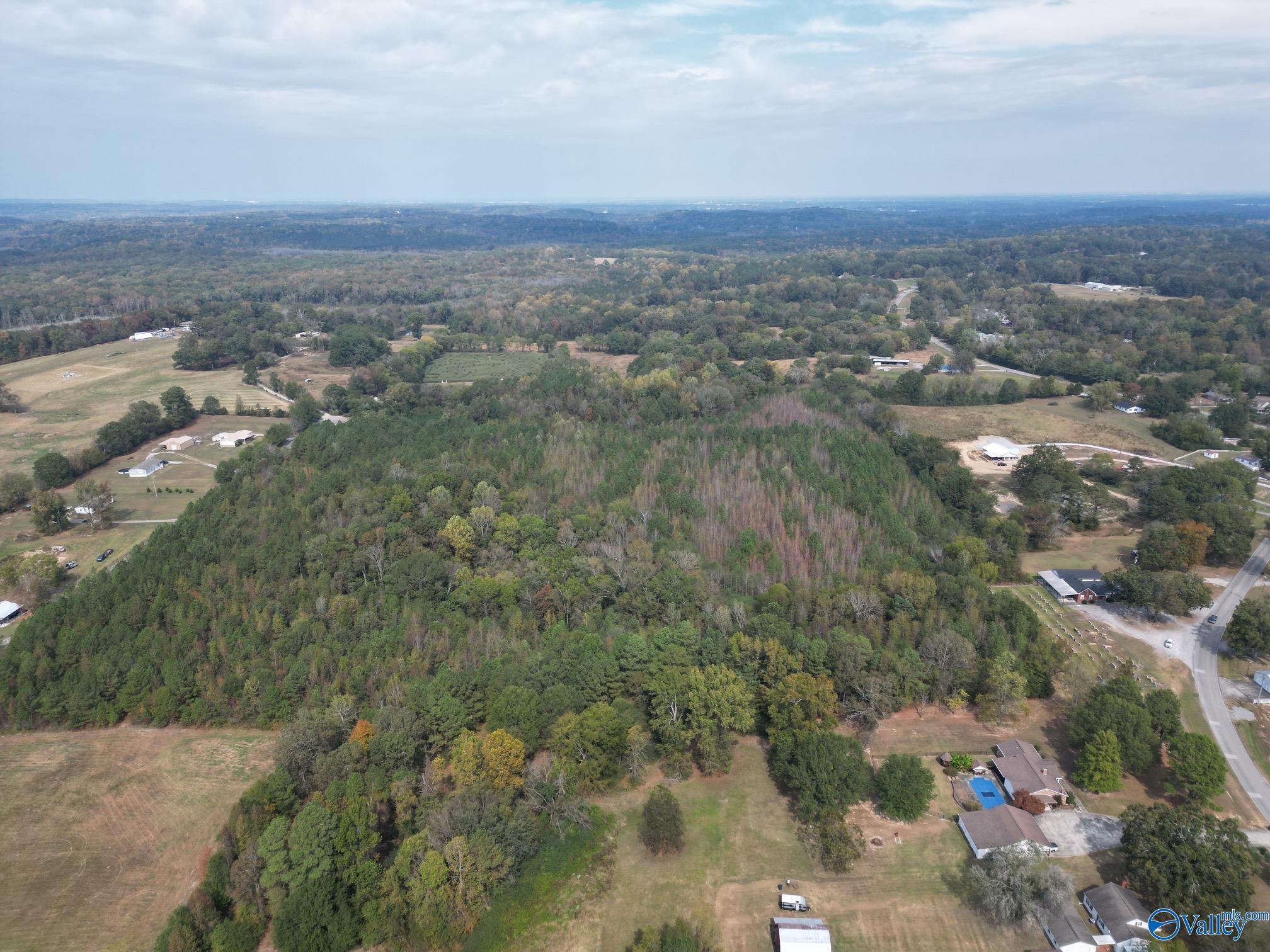 39 Acres Goose Pond Road, Hartselle, Alabama image 3