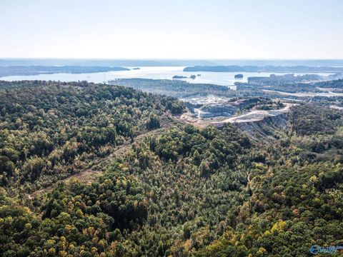 Vacant Land For Sale - 63 Mccorkle Mountain Road<br/> Scottsboro, AL 35769