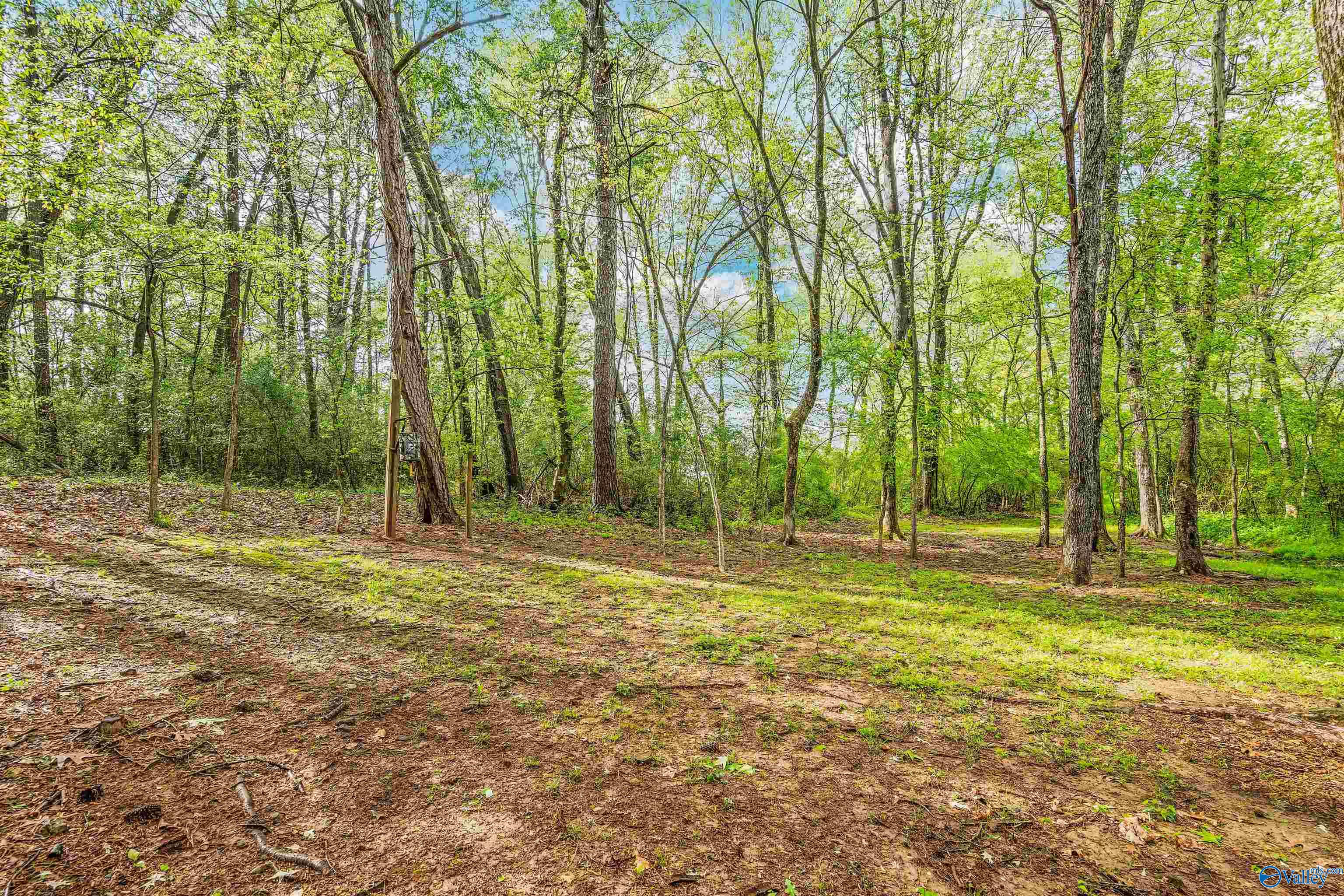 15141 Wright Road, Athens, Alabama image 30