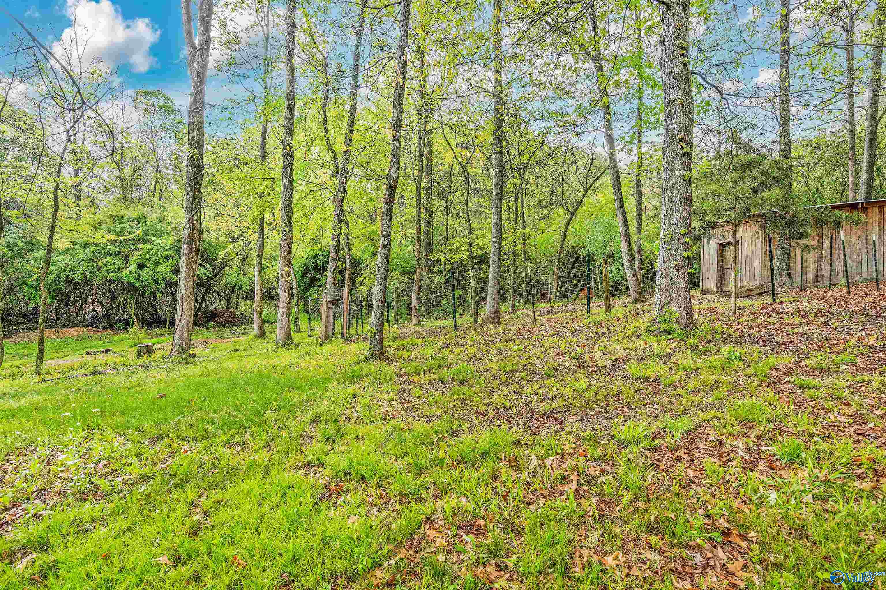 15141 Wright Road, Athens, Alabama image 31