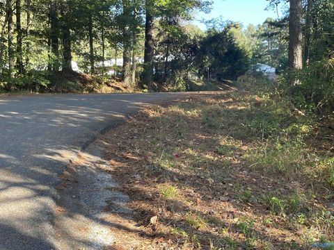 Vacant Land For Sale - LOTS 7-12 Halsey Street<br/> Etowah County, Gadsden, AL 35901