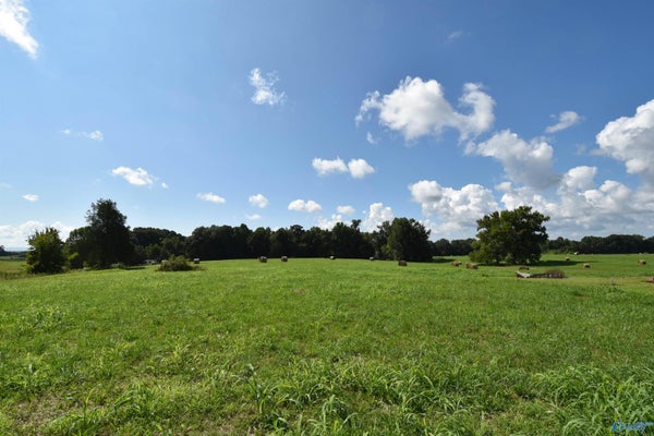 28 OLD QUICK RD, FAYETTEVILLE, TN 37334 - Image a59df79e7fef601da801b5c17cf4e798/680839053