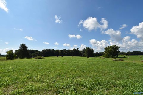 Vacant Land For Sale - 28.6 Old Quick Road<br/> Fayetteville, TN 37334