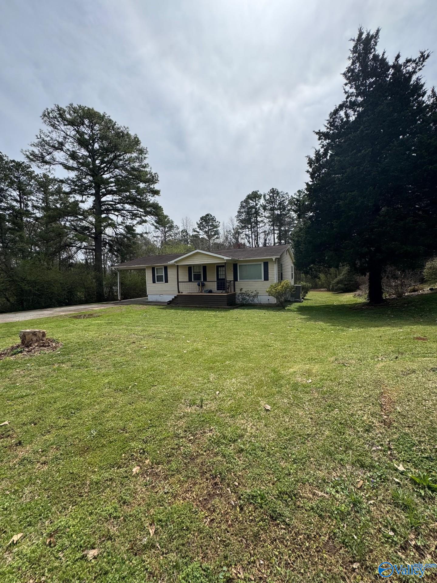 148 County Road 461, Town Creek, Alabama image 2