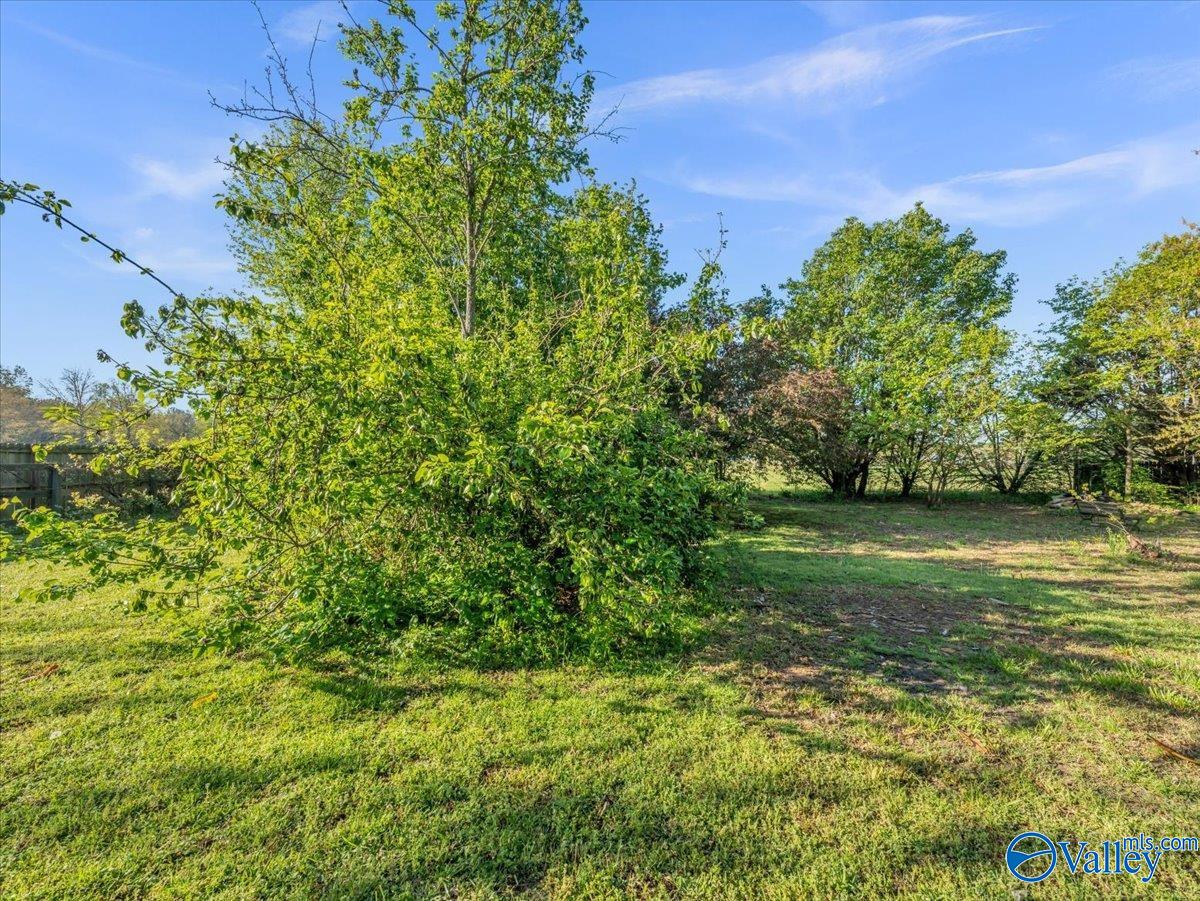 22440 Fain Road, Elkmont, Alabama image 36