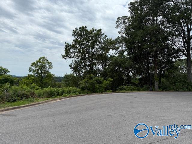 5/6 Kemper Circle, Guntersville, Alabama image 3