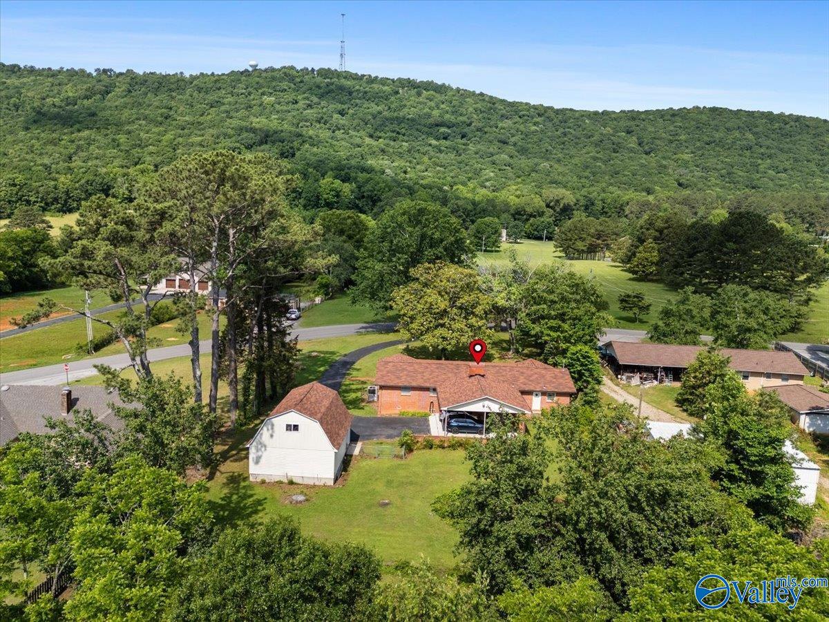 259 Old Big Cove Road, Brownsboro, Alabama image 33