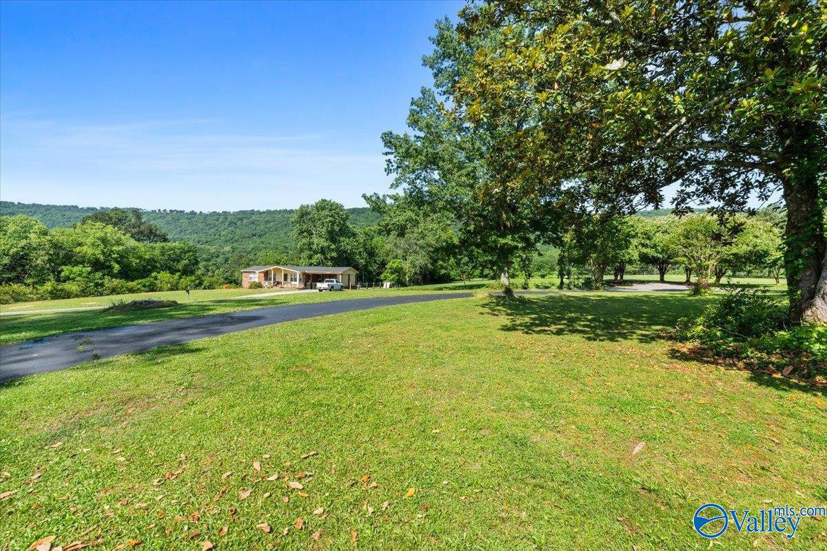 259 Old Big Cove Road, Brownsboro, Alabama image 27