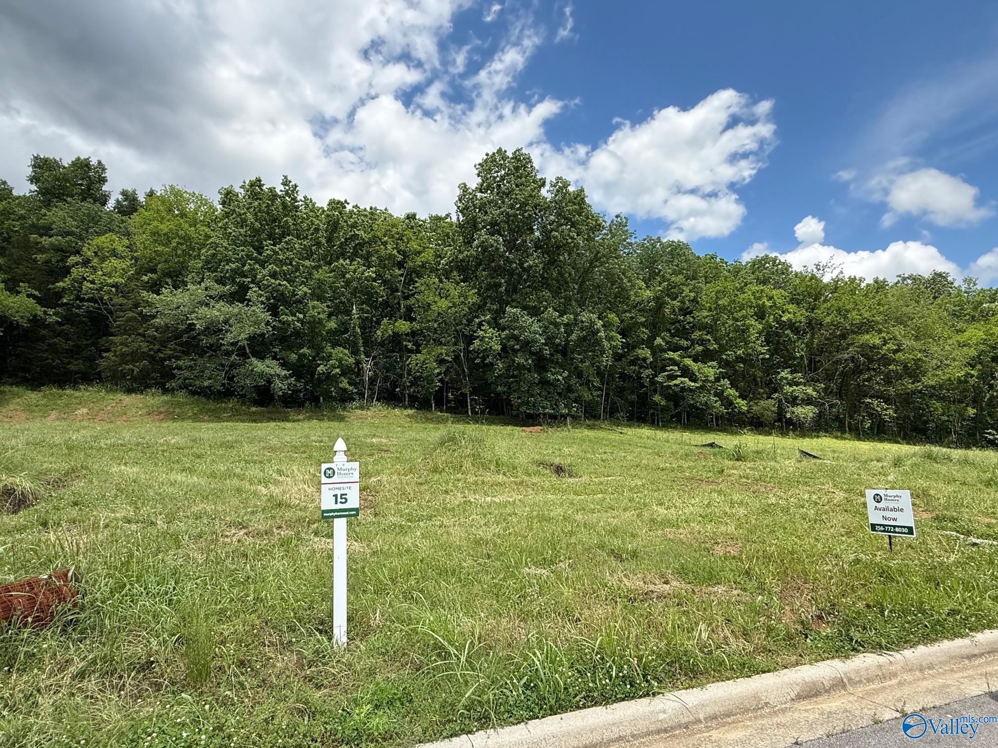 2503 Monte Sano Cove Road, Huntsville, Alabama image 1