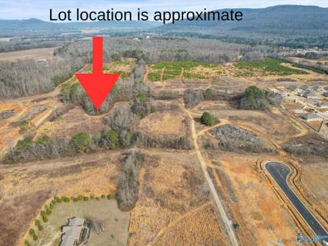 Vacant Land For Sale - PIN 122096 Cherry Tree Road<br/> Gurley, AL 35748